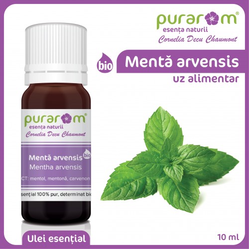 ULEI ESENTIAL DE MENTA  ARVENSIS